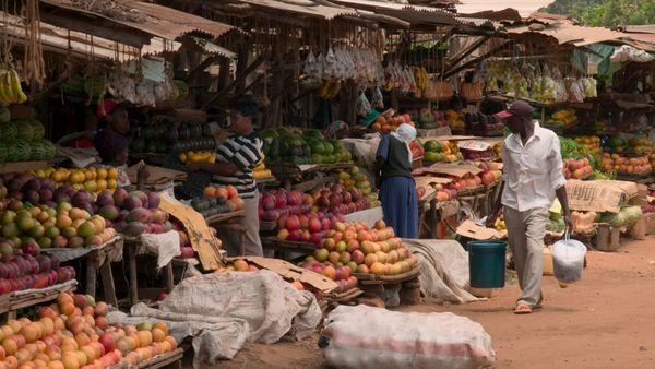 Beyond The Boundary - Kenya