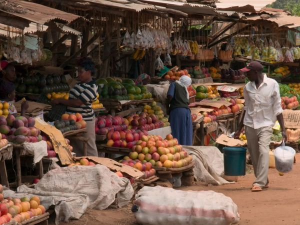 Beyond The Boundary - Kenya
