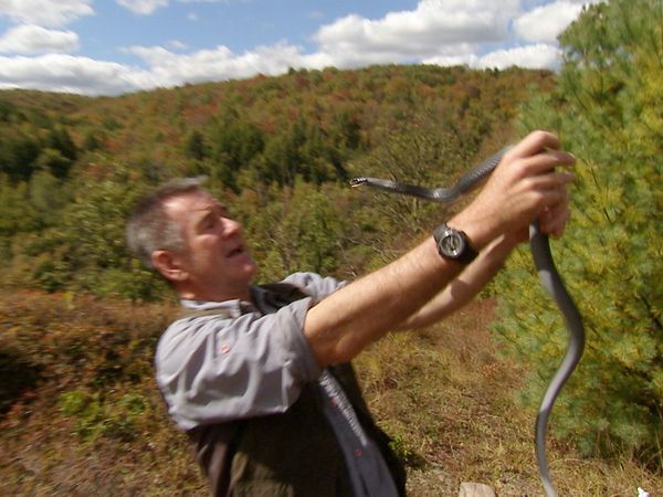Ten Deadliest Snakes with Nigel Marven - USA