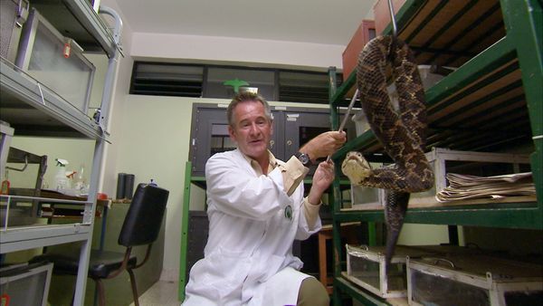 Ten Deadliest Snakes with Nigel Marven - Costa Rica