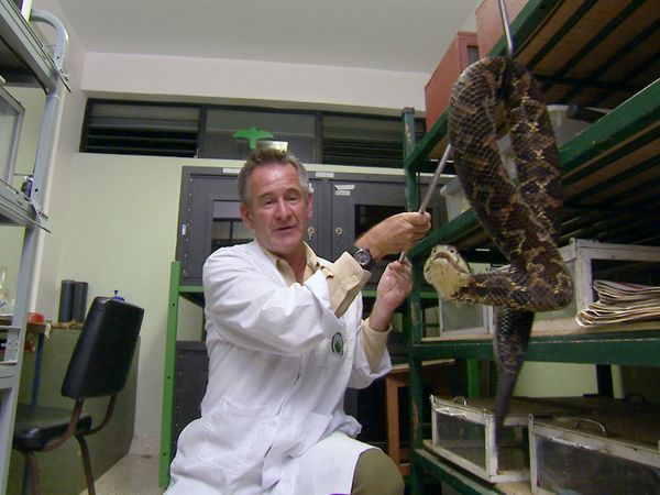 Ten Deadliest Snakes with Nigel Marven - Costa Rica