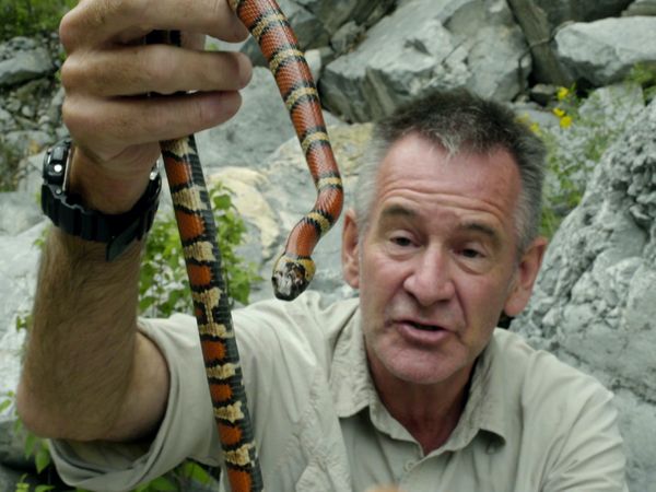 Ten Deadliest Snakes with Nigel Marven - Mexico