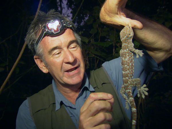 Ten Deadliest Snakes with Nigel Marven - Philippines