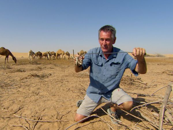 Ten Deadliest Snakes with Nigel Marven - The Middle East