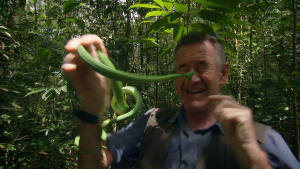 Ten Deadliest Snakes with Nigel Marven - Brazil