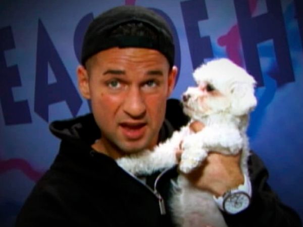 Jersey Shore - Adivina con quién está hablando Sammi