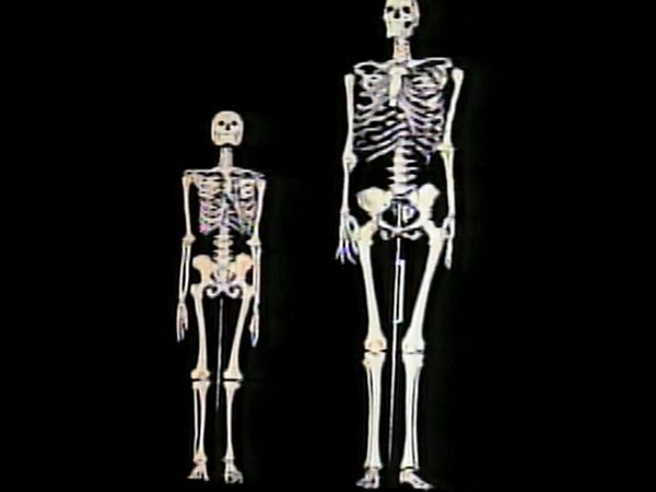 Ancient Secrets Of The Bible - Battle of David and Goliath: Truth or Myth?
