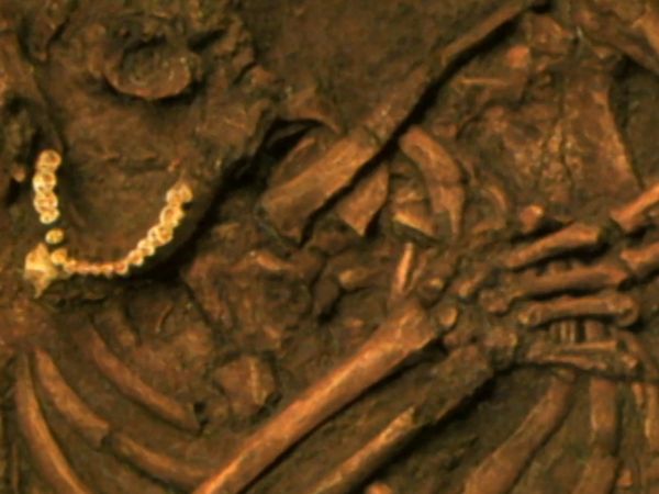 Ancient Secrets Of The Bible - Ancient Man: What Do We Know About Our Ancient Ancestors?