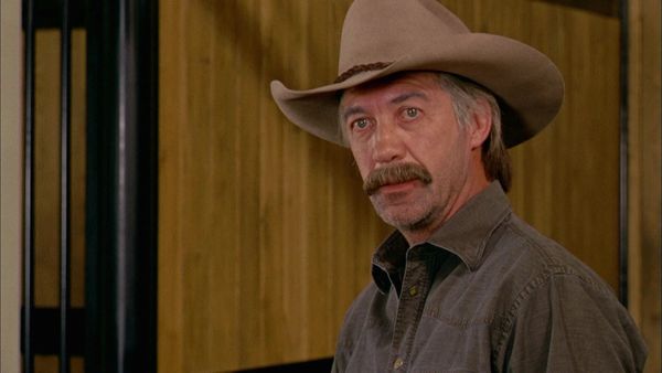 Heartland en español - Los mejores planes