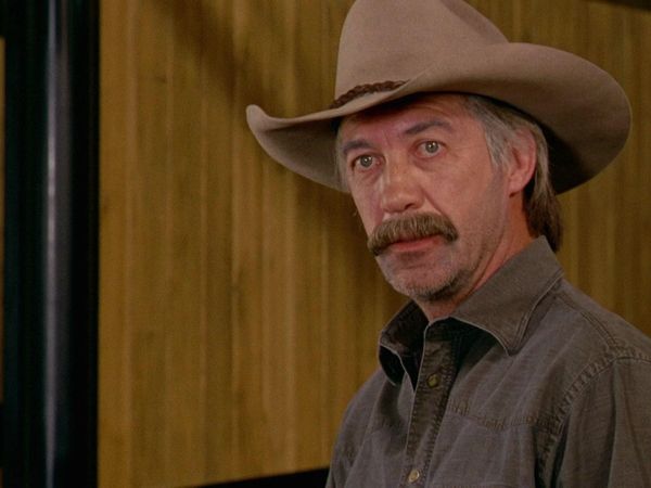 Heartland en español - Los mejores planes