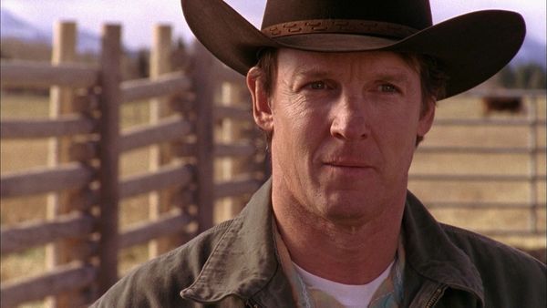 Heartland en español - Lazos más fuertes