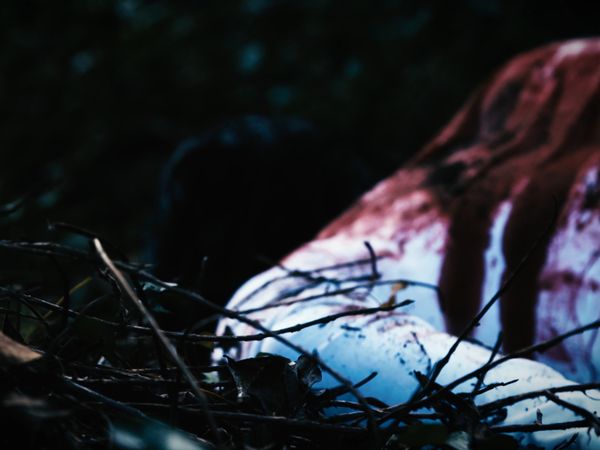 Trace of Evil - The Murder of Rachel Manning
