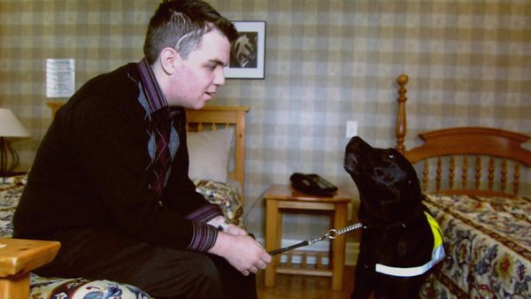 Weird Or What? With William Shatner - Dolphin Saviours, Grim Reapers, Hysterical Strength