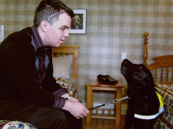 Weird Or What? With William Shatner - Dolphin Saviours, Grim Reapers, Hysterical Strength
