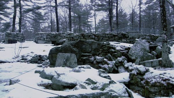 Weird Or What? With William Shatner - Time Traveller, American Stonehenge, Plant Perception