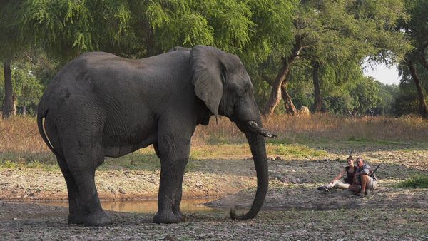 Epic Safari Destinations - Mana Pools & Chitake Spring