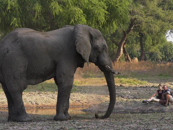 Epic Safari Destinations - Mana Pools & Chitake Spring