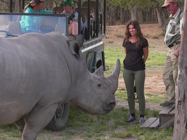 Epic Safari Destinations - Nyanga & Thetford Estate