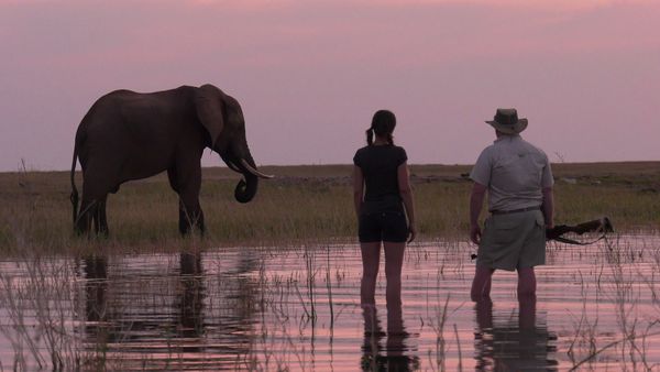 Epic Safari Destinations - Changa Safari Camp
