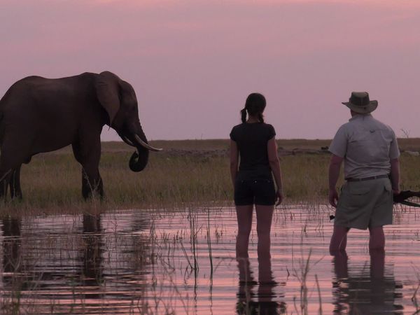 Epic Safari Destinations - Changa Safari Camp