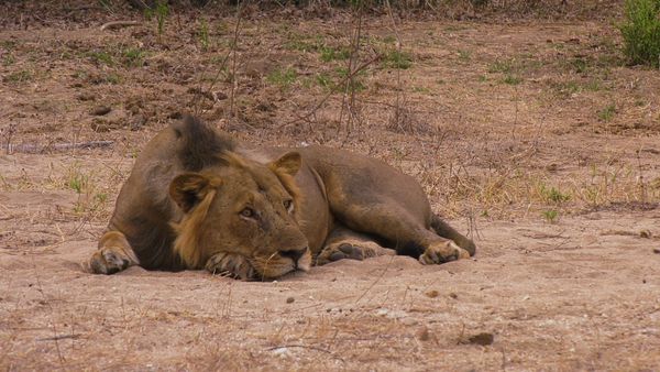 Epic Safari Destinations - Kavinga Safari Camp