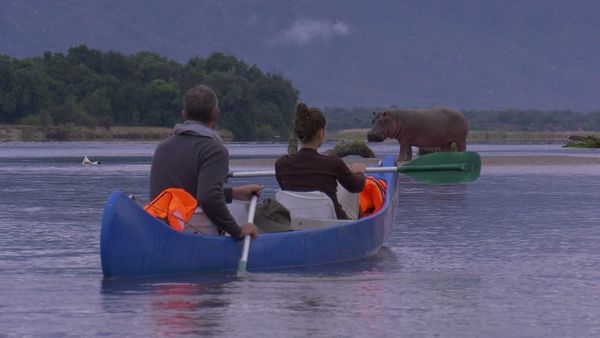 Epic Safari Destinations - Somalisa Expiditions Camp