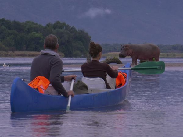 Epic Safari Destinations - Somalisa Expiditions Camp