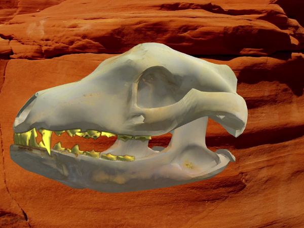 Strange World - Tasmanian Tiger