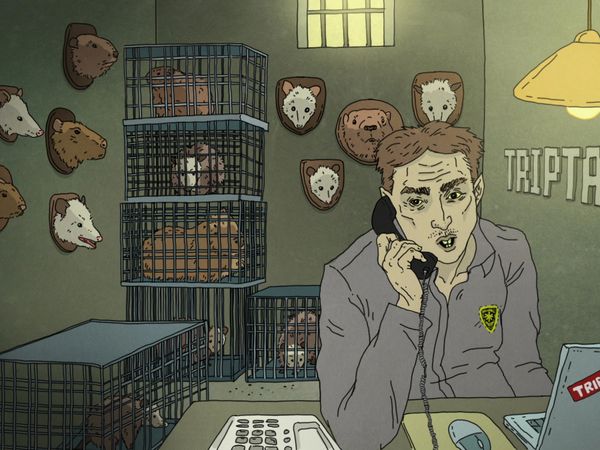 TripTank - Let Me Transfer You