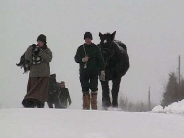 Pioneer Quest - The Long Haul