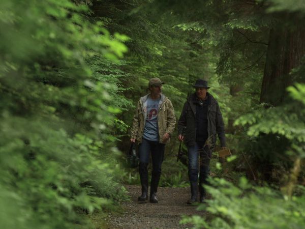 Cedar Cove – Das Gesetz des Herzens - Sieg über die Angst