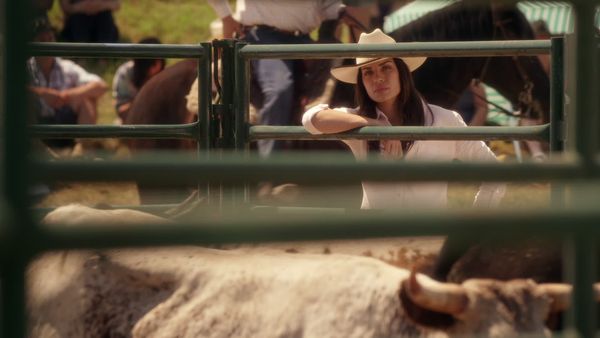 Cedar Cove – Das Gesetz des Herzens - Entscheidungen