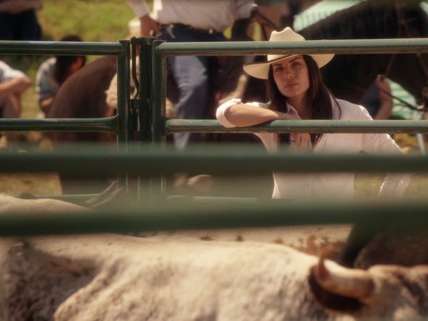 Cedar Cove – Das Gesetz des Herzens - Entscheidungen