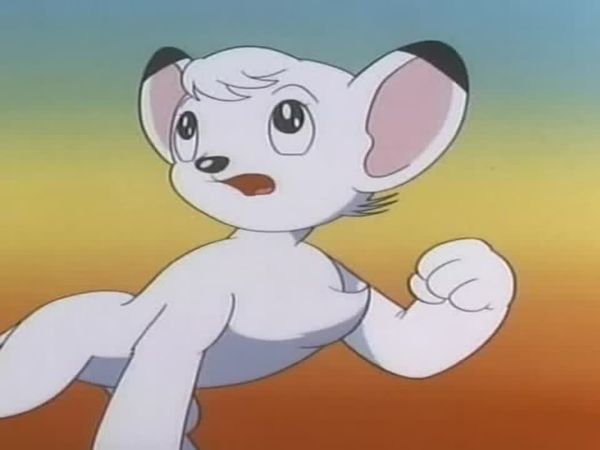 Kimba the White Lion - The Trappers