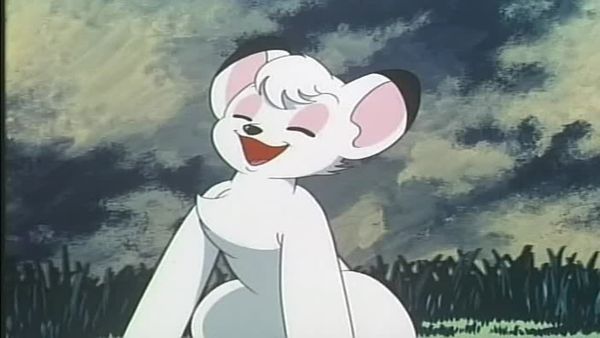Kimba the White Lion - The Cobweb Caper