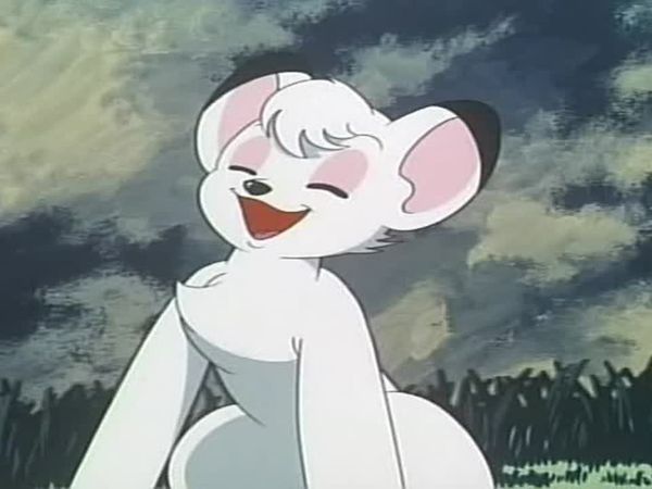 Kimba the White Lion - The Cobweb Caper