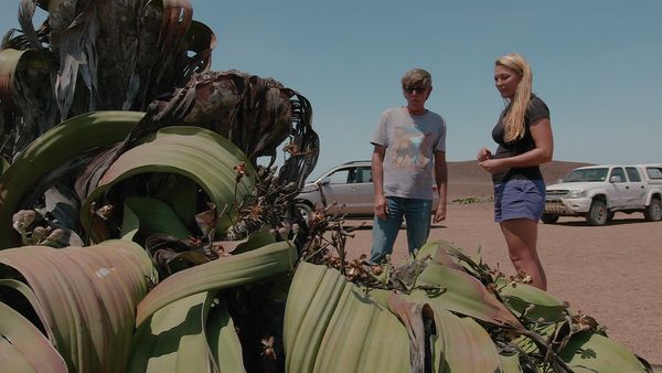 Trabajos salvajes: Namibia - Costal Conservation