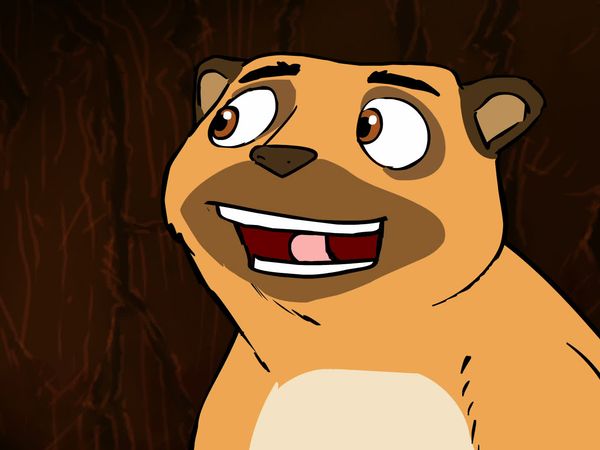 Jabu's Jungle - Meerkats