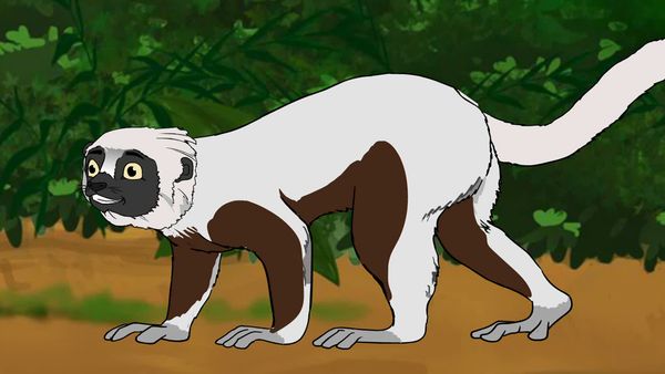 Jabu's Jungle - Lemur