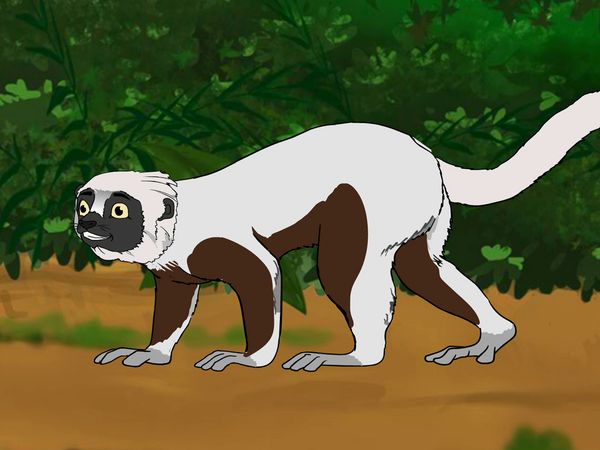 Jabu's Jungle - Lemur