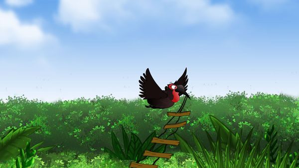 Jabu's Jungle - Ground Hornbill