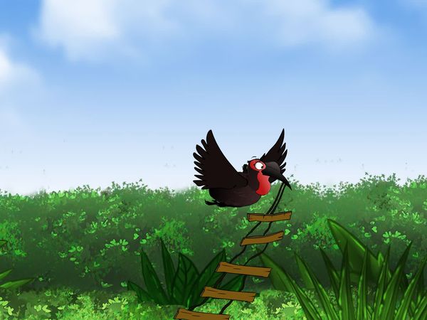 Jabu's Jungle - Ground Hornbill