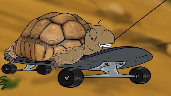Jabu's Jungle - Tortoise