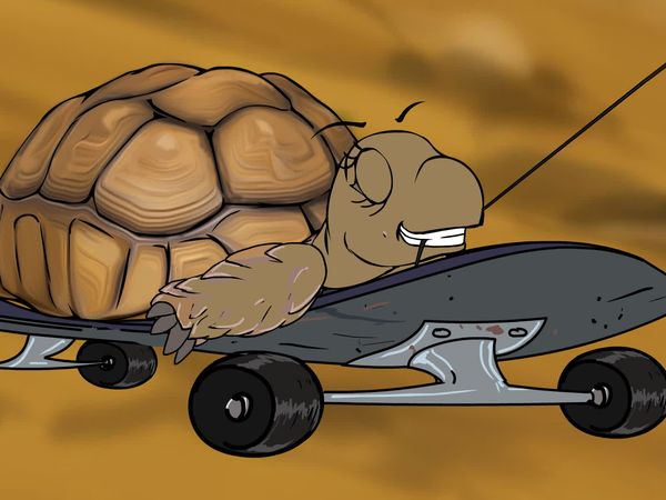 Jabu's Jungle - Tortoise