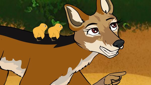Jabu's Jungle - Jackal