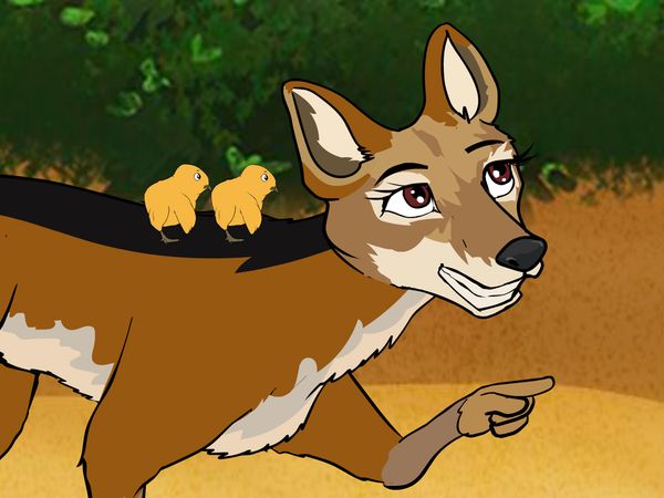 Jabu's Jungle - Jackal