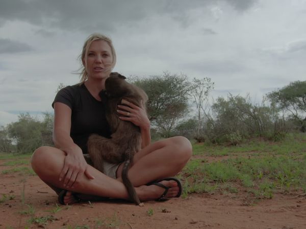 Trabajos salvajes: Namibia - Baboons