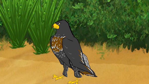 Jabu's Jungle - Jackal Buzzard