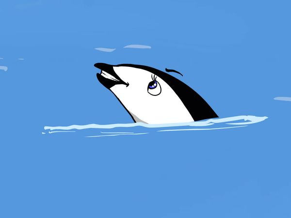 Jabu's Jungle - Dolphin