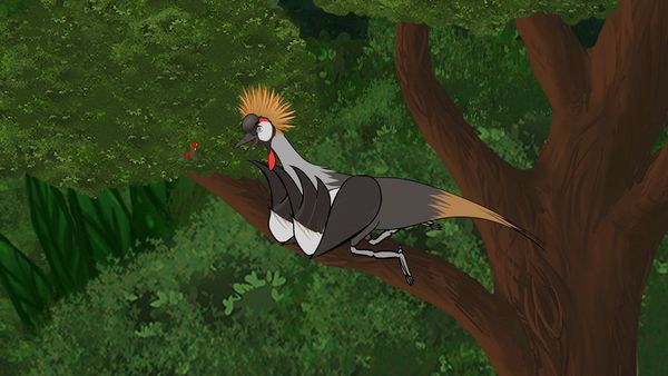 Jabu's Jungle - Crowned Crane